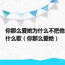 你那么爱她为什么不把他留下是什么歌(你那么爱她)