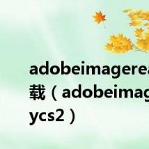 adobeimageready下载(adobeimagereadycs2)
