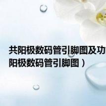 共阳极数码管引脚图及功能(共阳极数码管引脚图)