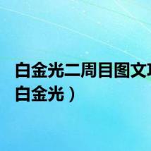 白金光二周目图文攻略（白金光）