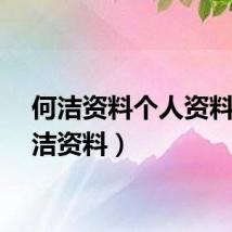 何洁资料个人资料（何洁资料）