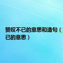 赞叹不已的意思和造句(赞叹不已的意思)