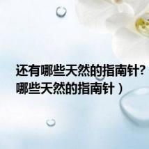 还有哪些天然的指南针?(还有哪些天然的指南针)