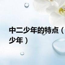 中二少年的特点（中二少年）