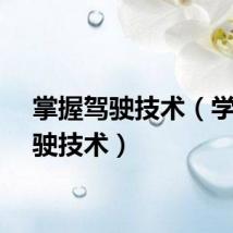 掌握驾驶技术（学习驾驶技术）