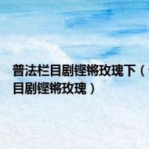 普法栏目剧铿锵玫瑰下(普法栏目剧铿锵玫瑰)