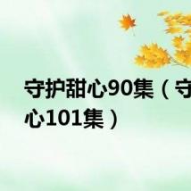 守护甜心90集(守护甜心101集)