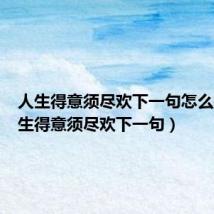 人生得意须尽欢下一句怎么接(人生得意须尽欢下一句)