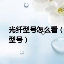 光纤型号怎么看（光纤型号）