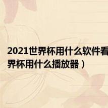 2021世界杯用什么软件看(看世界杯用什么播放器)