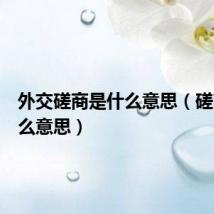外交磋商是什么意思(磋商是什么意思)