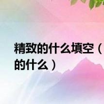 精致的什么填空（精致的什么）
