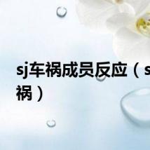 sj车祸成员反应（sj出车祸）