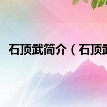 石顶武简介（石顶武）