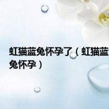 虹猫蓝兔怀孕了(虹猫蓝兔之蓝兔怀孕)