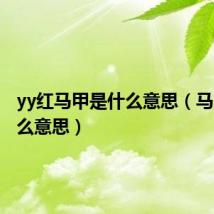 yy红马甲是什么意思(马甲是什么意思)