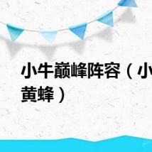 小牛巅峰阵容（小牛vs黄蜂）