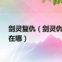剑灵复仇（剑灵仇满天在哪）
