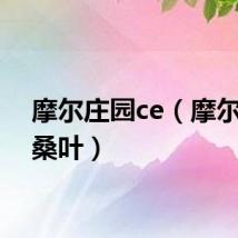 摩尔庄园ce（摩尔庄园桑叶）
