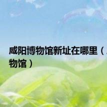 咸阳博物馆新址在哪里（咸阳博物馆）