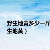 野生地黄多少一斤（野生地黄）