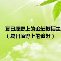 夏日原野上的追赶概括主要内容(夏日原野上的追赶)