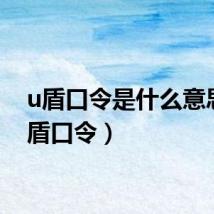 u盾口令是什么意思（u盾口令）