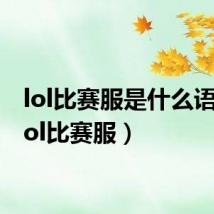 lol比赛服是什么语言(lol比赛服)