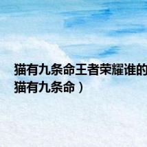 猫有九条命王者荣耀谁的台词(猫有九条命)