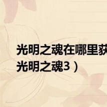 光明之魂在哪里获得（光明之魂3）