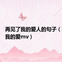 再见了我的爱人的句子(再见了我的爱mv)