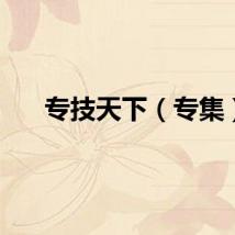 专技天下（专集）