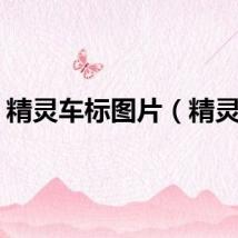 精灵车标图片（精灵车）
