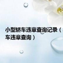 小型轿车违章查询记录(小型轿车违章查询)
