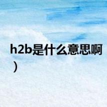 h2b是什么意思啊(h2b)