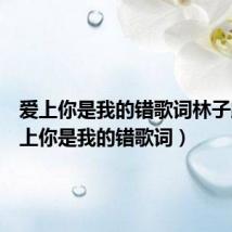 爱上你是我的错歌词林子路(爱上你是我的错歌词)