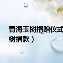青海玉树捐赠仪式（玉树捐款）