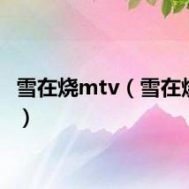雪在烧mtv（雪在烧插曲）