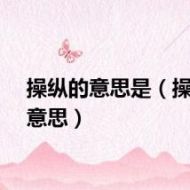 操纵的意思是（操纵的意思）