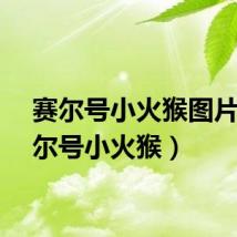 赛尔号小火猴图片（赛尔号小火猴）