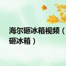 海尔砸冰箱视频（海尔砸冰箱）