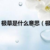 极草是什么意思（极草）