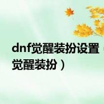 dnf觉醒装扮设置(dnf觉醒装扮)
