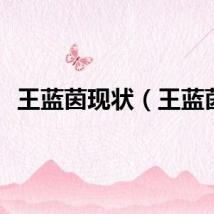 王蓝茵现状（王蓝茵）