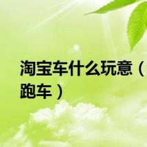 淘宝车什么玩意（淘宝跑车）
