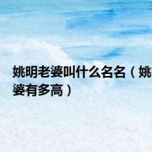 姚明老婆叫什么名名(姚明的老婆有多高)