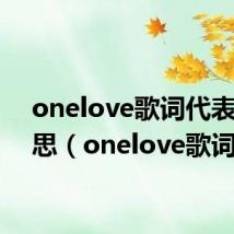 onelove歌词代表的意思(onelove歌词)