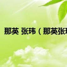 那英 张玮（那英张玮）