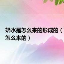 奶水是怎么来的形成的(奶水是怎么来的)