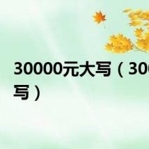 30000元大写(300元大写)